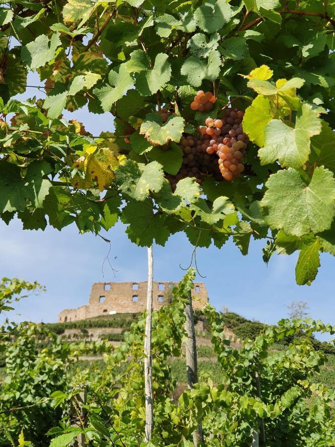 Ferienwohnung Am Musbach In Badenweiler-Sehringen Экстерьер фото