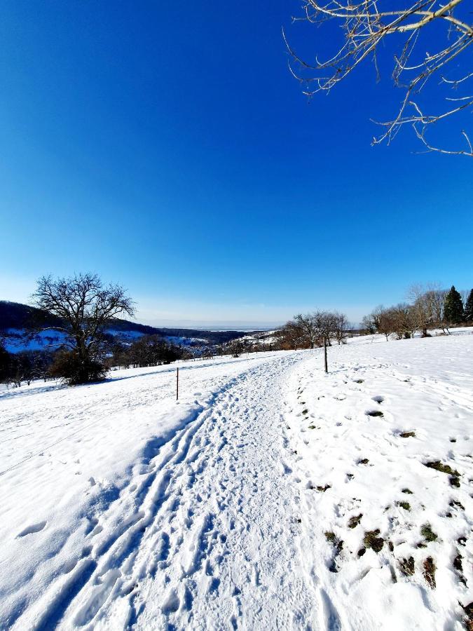 Ferienwohnung Am Musbach In Badenweiler-Sehringen Экстерьер фото